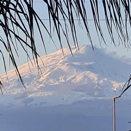 Gisira - Luxury Brucoli